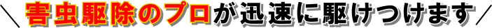害虫駆除のプロが迅速に駆けつけます