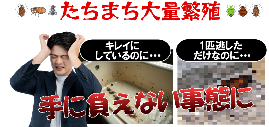 たちまち大量繁殖！手に負えない事態に