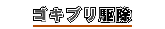 ゴキブリ駆除