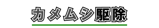 カメムシ駆除