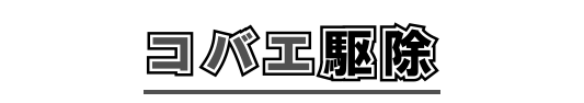 コバエ駆除