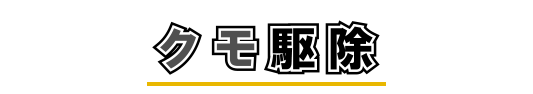 クモ駆除