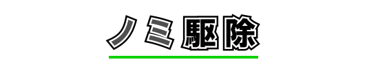 ノミ駆除