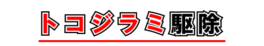 トコジラミ駆除